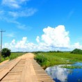 /album/en-passeios-com-turistas-no-pantanal/en-a391725-10151012653968649-160915088-n-jpg/