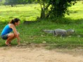 /album/en-passeios-com-turistas-no-pantanal/en-a283668-10151012655823649-1164561461-n-jpg/